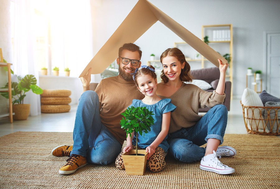 Pleasanton Probate Litigation